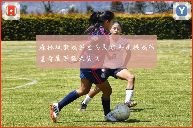 森林狼激战掘金戈贝尔再度挑战约基奇展现强大实力