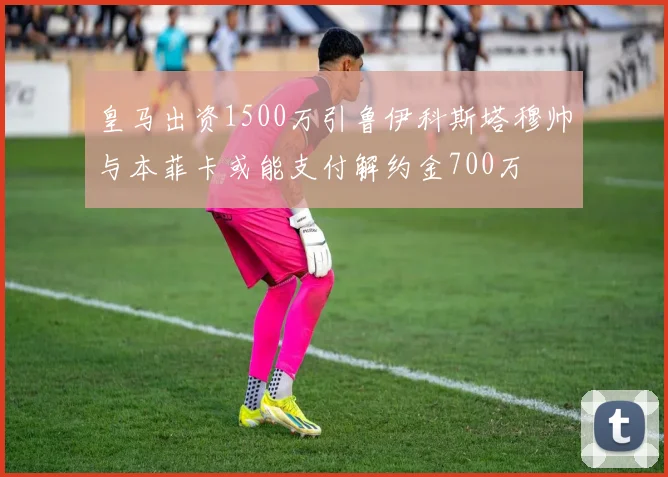 皇马出资1500万引鲁伊科斯塔穆帅与本菲卡或能支付解约金700万